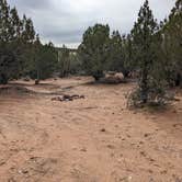 Review photo of Blake Gubler Road BLM by Greg L., March 16, 2023