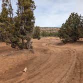 Review photo of Blake Gubler Road BLM by Greg L., March 16, 2023