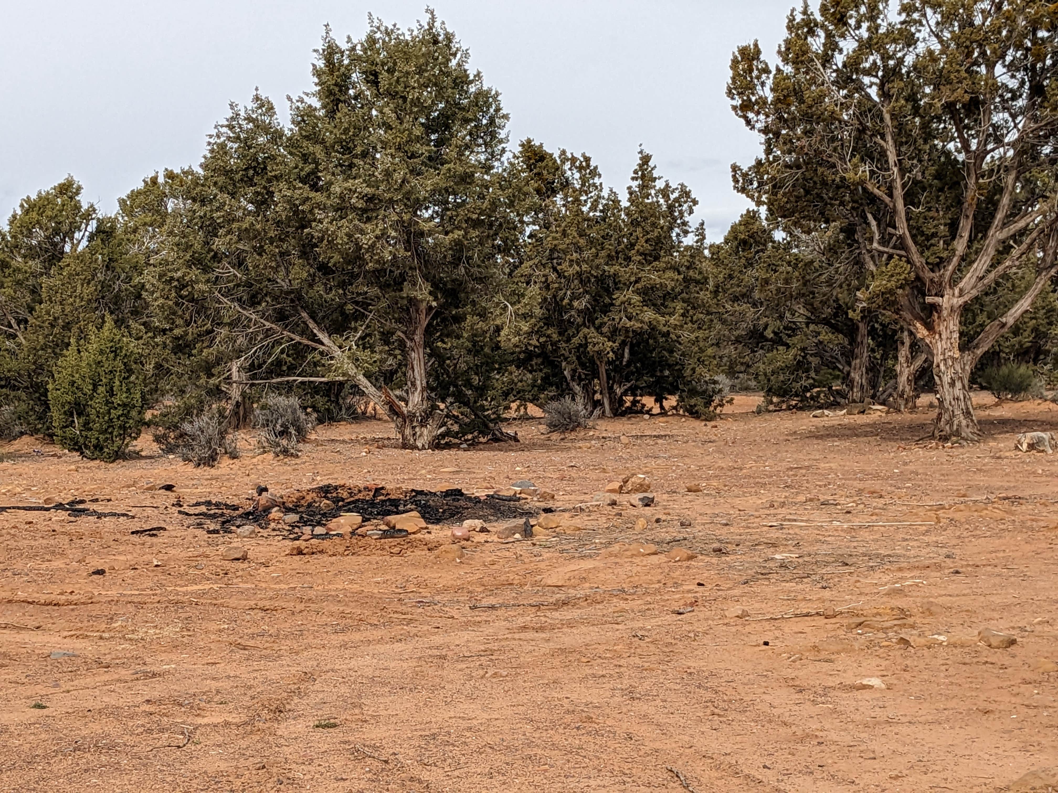 Camper-submitted photo at Blake Gubler Road BLM near Central, UT