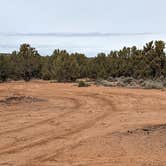 Review photo of Blake Gubler Road BLM by Greg L., March 16, 2023