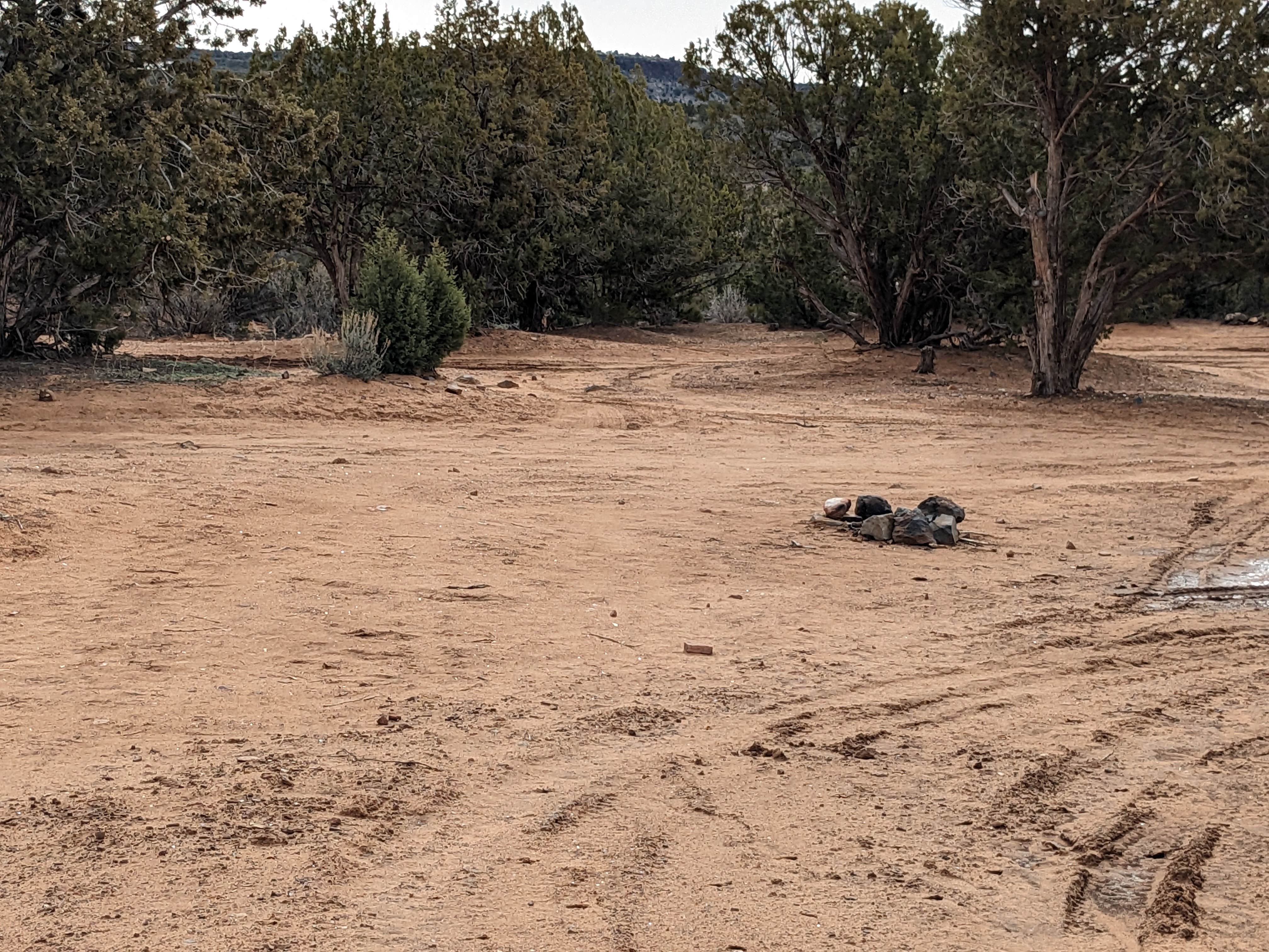 Camper-submitted photo at Blake Gubler Road BLM near Central, UT