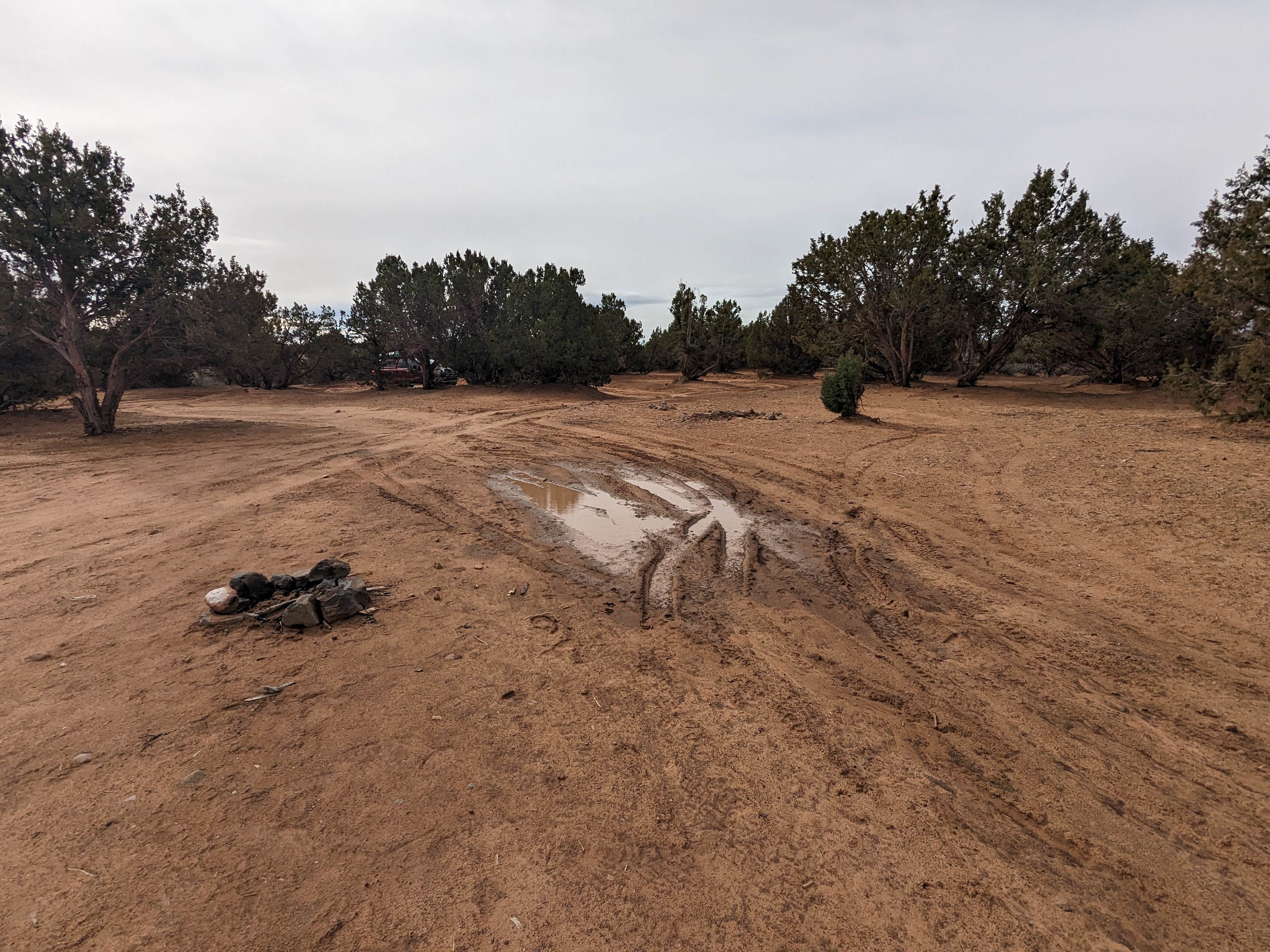 Camper submitted image from Blake Gubler Road BLM - 1