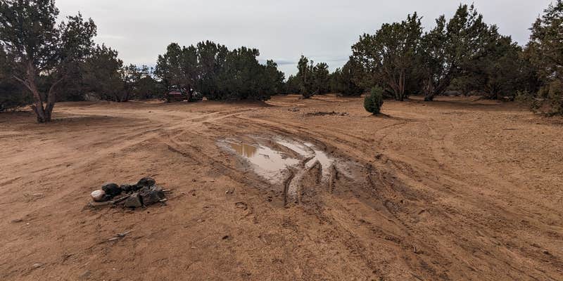 Camper submitted image from Blake Gubler Road BLM