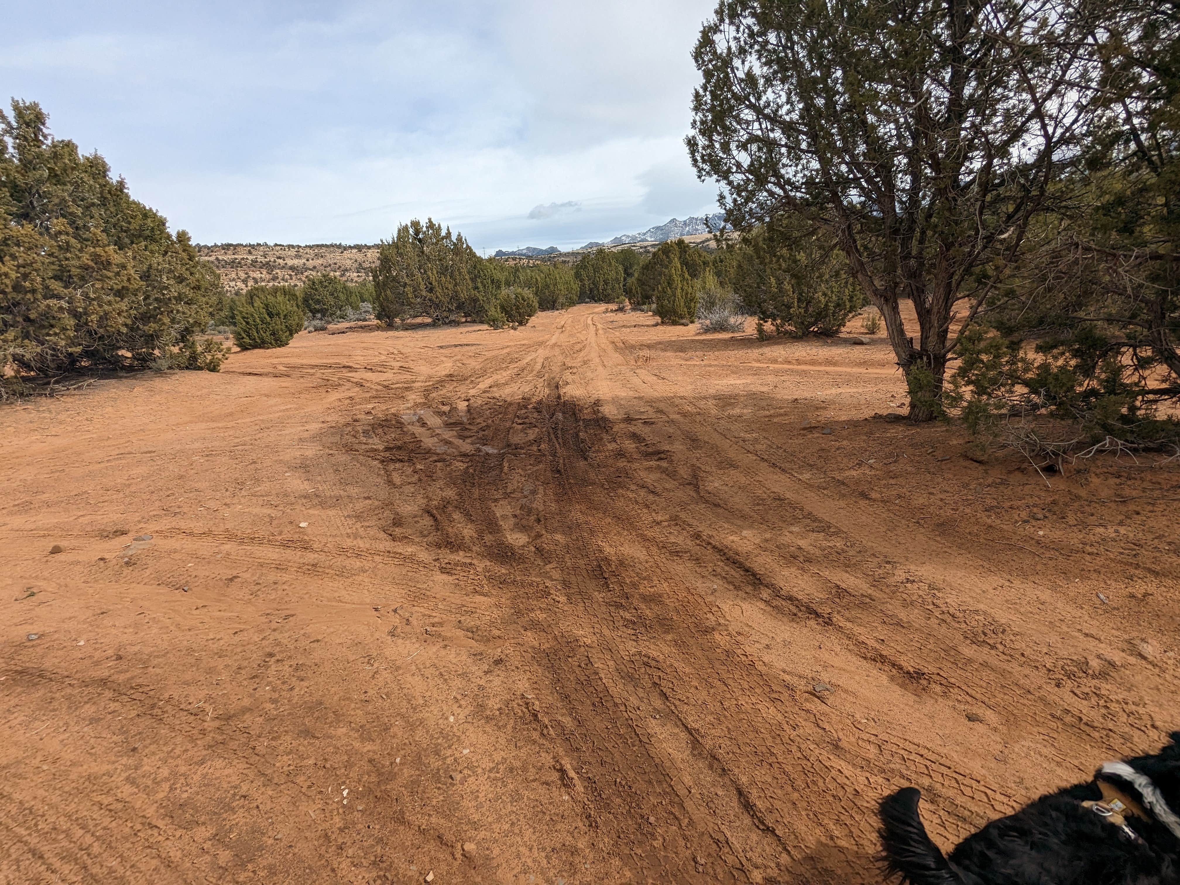 Greg L.'s photo of camping with pets at Blake Gubler Road BLM near Dammeron Valley, UT