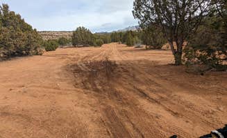 Greg L.'s photo of camping with pets at Blake Gubler Road BLM near Enterprise, UT
