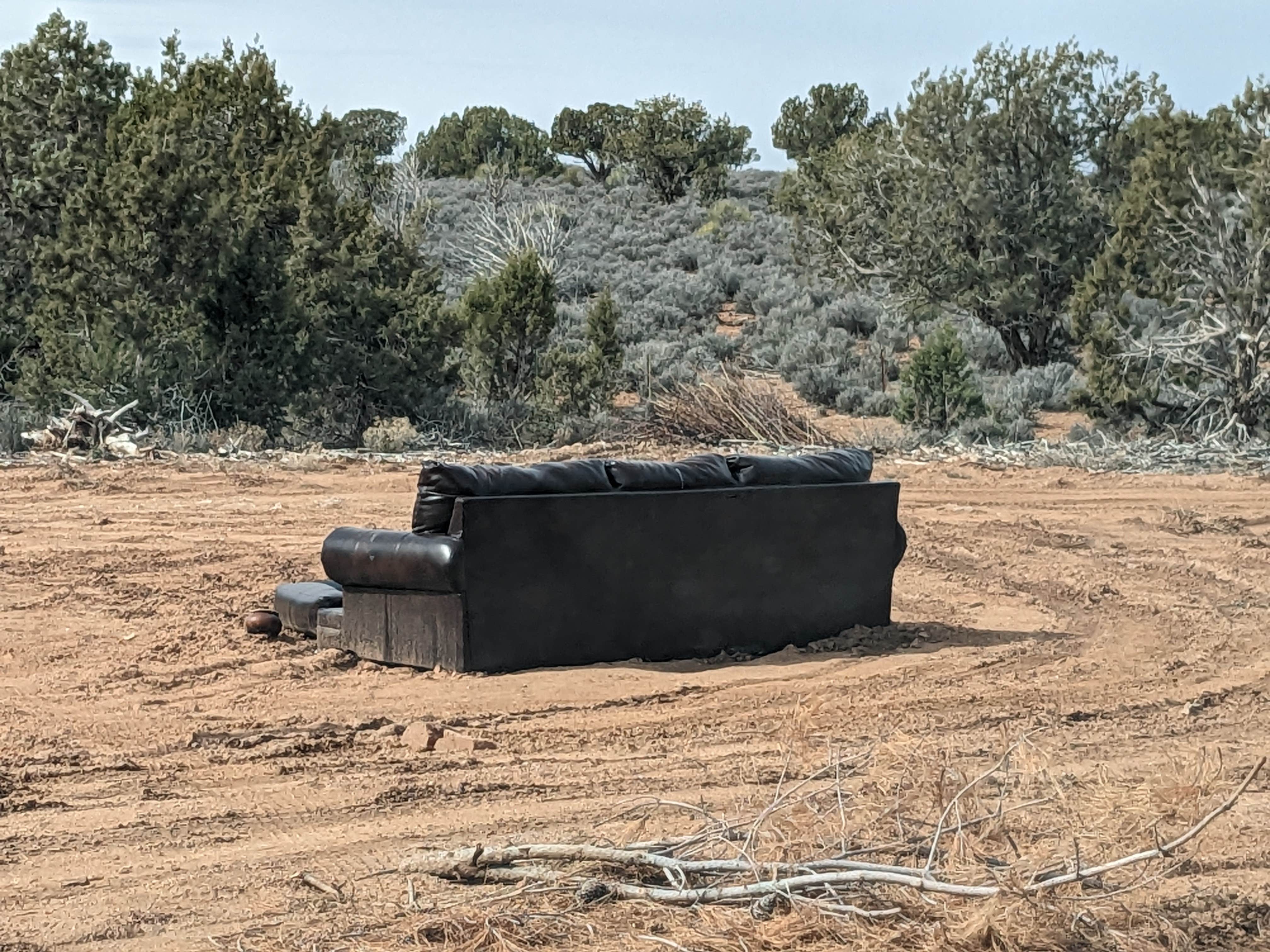 Camper submitted image from Blake Gubler Road BLM - 5