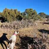 Review photo of Camgrounds at Jamail Ranch by Travis J., March 16, 2023