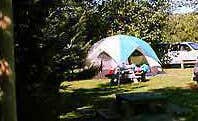 The Dyrt's photo at Riverwalk RV Park near Petrolia, CA