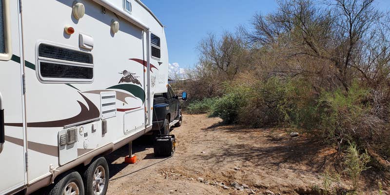 Camper submitted image from Hippie Hole Camping Area