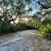 Review photo of Little Manatee River State Park Campground by Kiva R., March 16, 2023