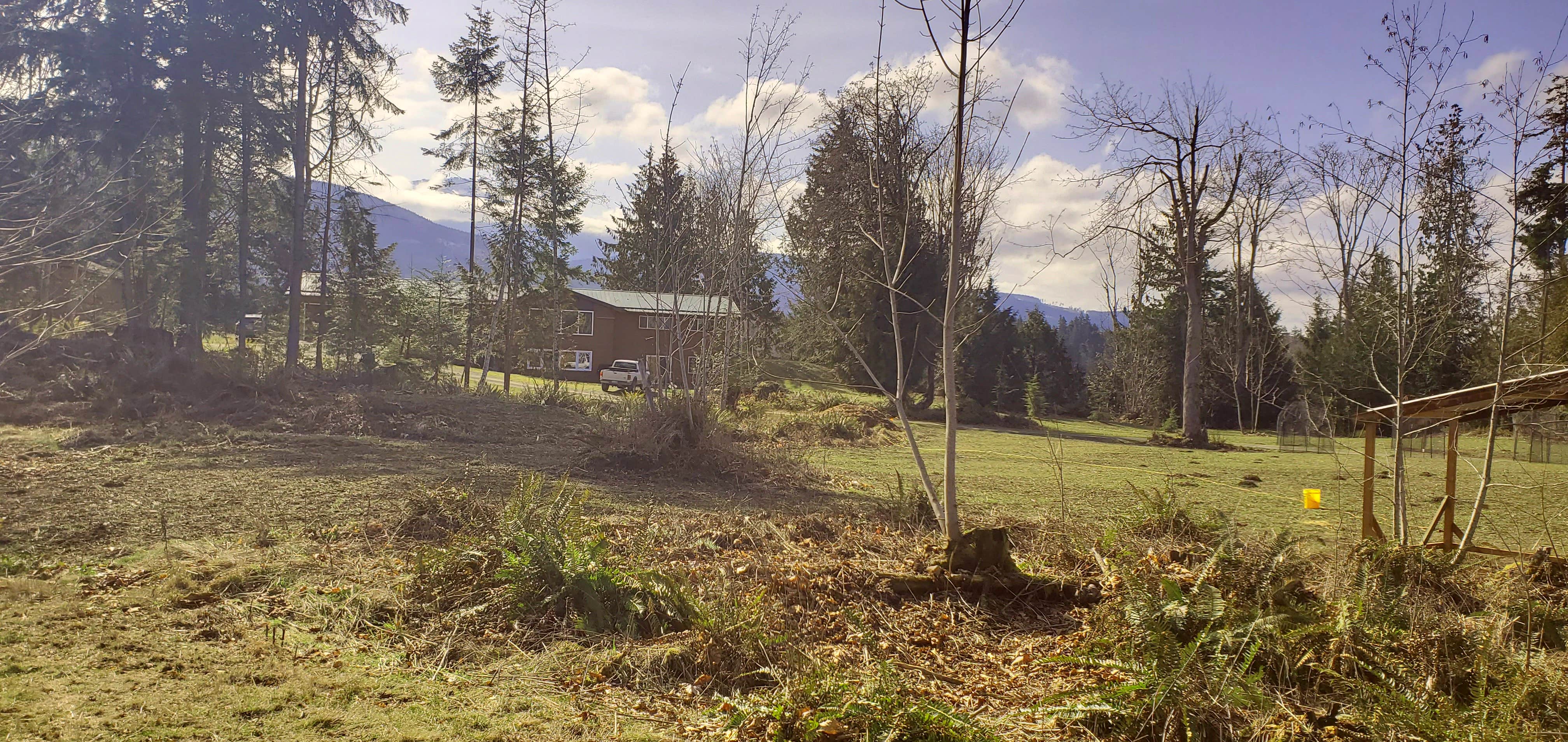 Camper-submitted photo at Deer Park Mountain View near Port Angeles, WA