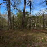 Review photo of Guilliard Lake by Andy K., March 17, 2023