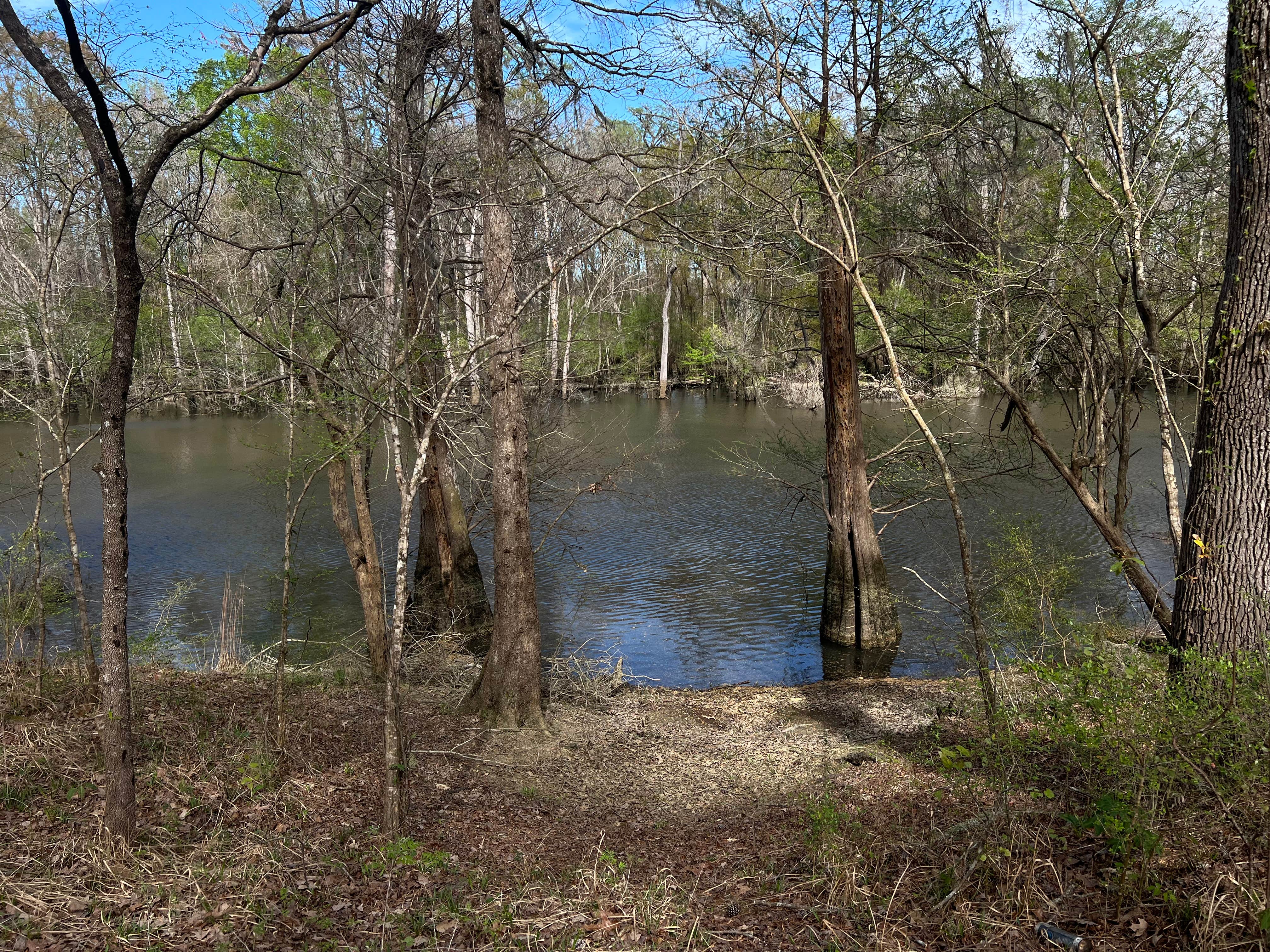 Camper submitted image from Guilliard Lake - 2