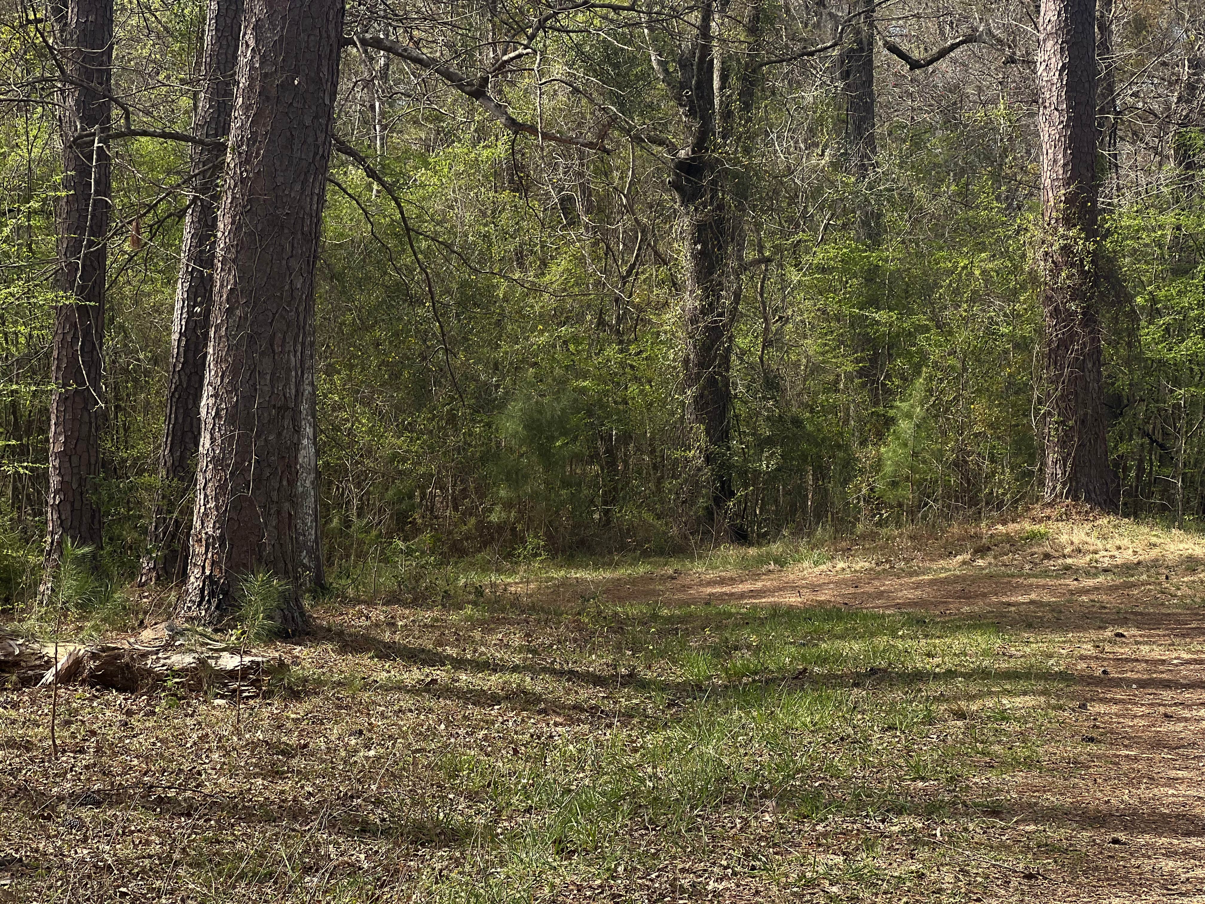 Camper-submitted photo at Guilliard Lake near Drayton, SC