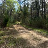 Review photo of Guilliard Lake by Andy K., March 17, 2023