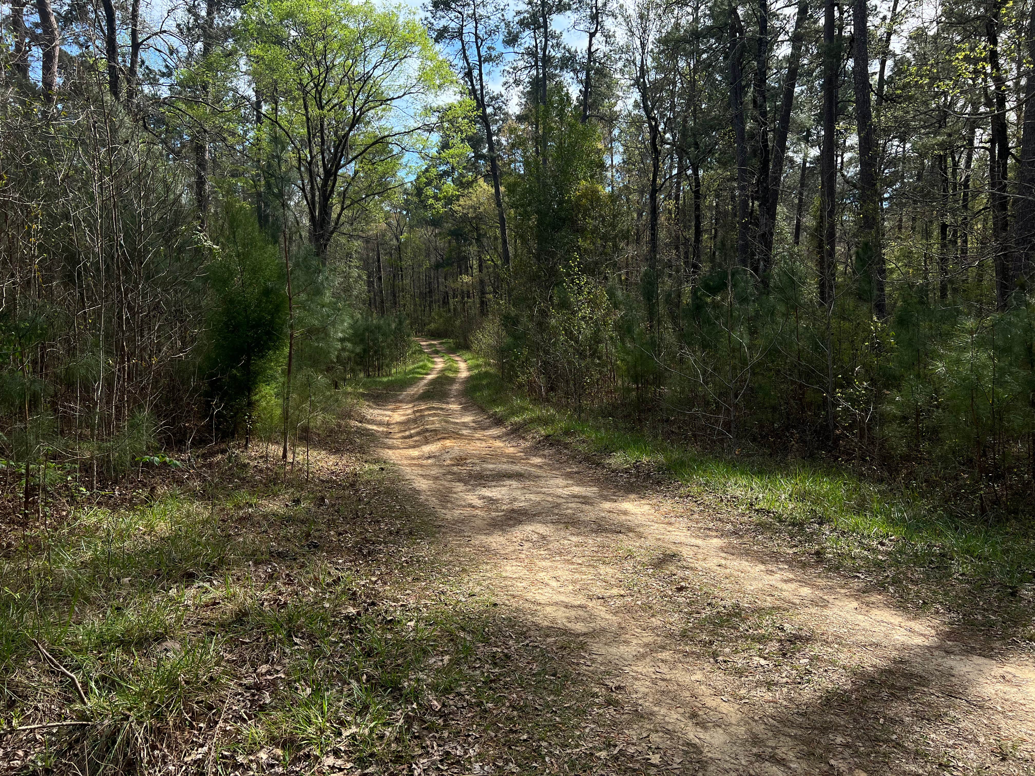 Camper submitted image from Guilliard Lake - 3