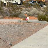 Review photo of Atlatl Rock Campground — Valley of Fire State Park by Michele H., March 17, 2023