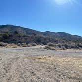 Review photo of Lovell Canyon Dispersed Camping (Spring Mountain) by Michele H., March 17, 2023