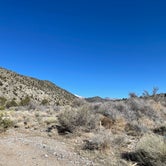 Review photo of Lovell Canyon Dispersed Camping (Spring Mountain) by Michele H., March 17, 2023