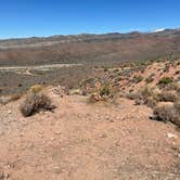 Review photo of Lovell Canyon Dispersed Camping (Spring Mountain) by Michele H., March 17, 2023