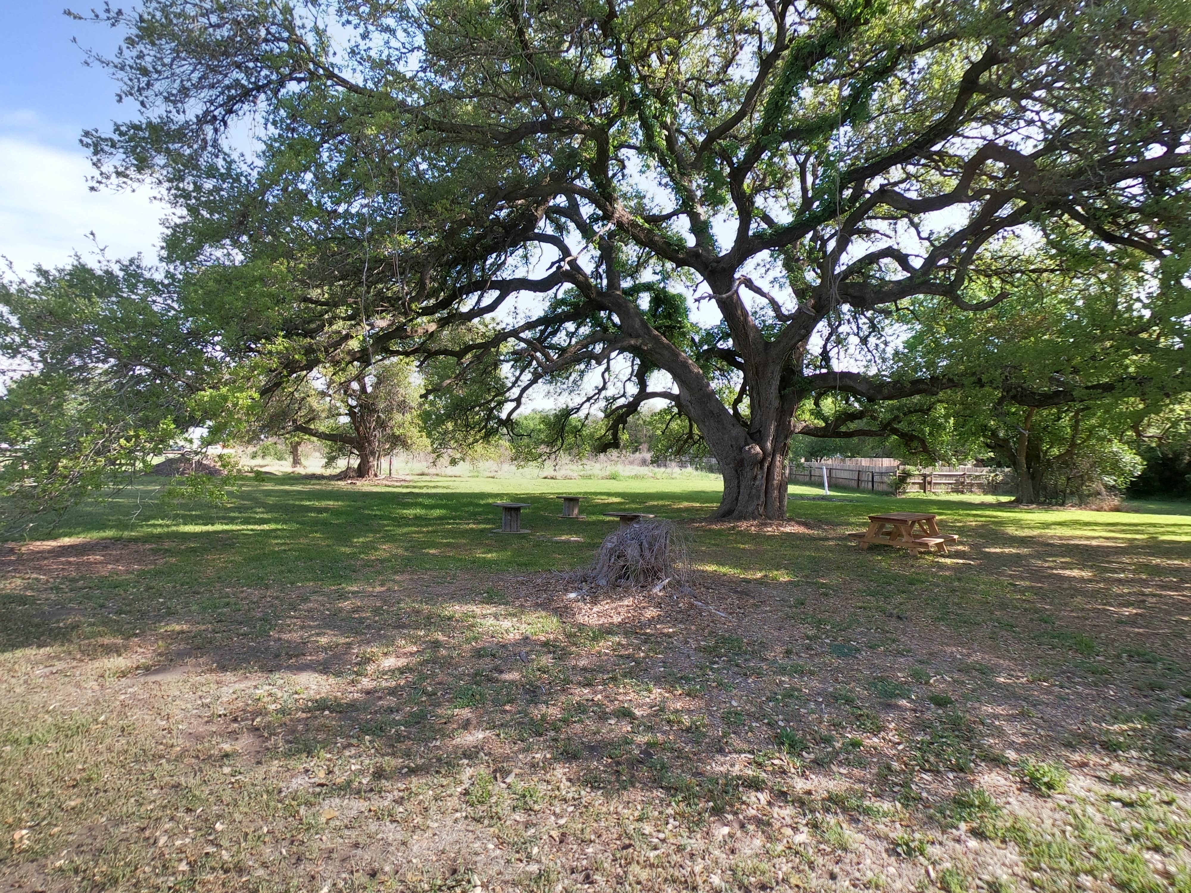 Camper-submitted photo at Angels In Goliad RV Park near Goliad, TX