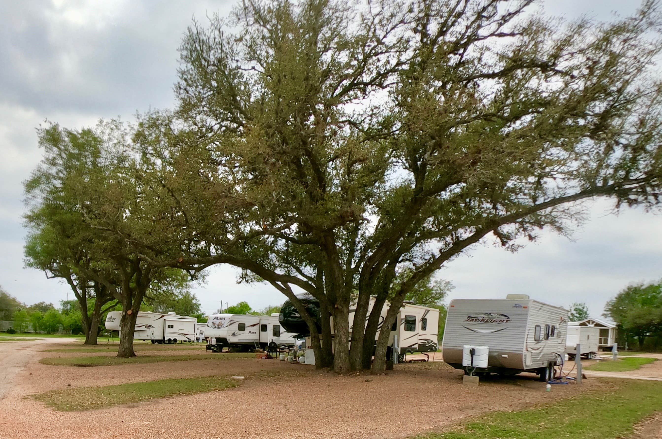 Camper-submitted photo at Angels In Goliad RV Park near Goliad, TX