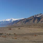 Review photo of Twenty Mile Beach Dispersed Camping by Sally T., March 17, 2023