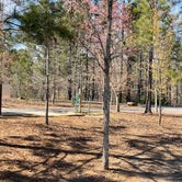 Review photo of Don Carter State Park by Brett D., March 17, 2023