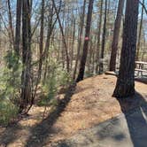 Review photo of Don Carter State Park Campground by Brett D., March 17, 2023