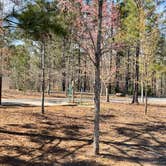 Review photo of Don Carter State Park Campground by Brett D., March 17, 2023