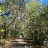 Review photo of Blue Spring State Park Campground by Abby S., March 17, 2023