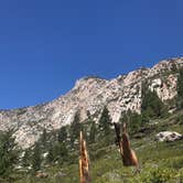 Review photo of Big Pine Creek Campground by Dave V., October 1, 2018