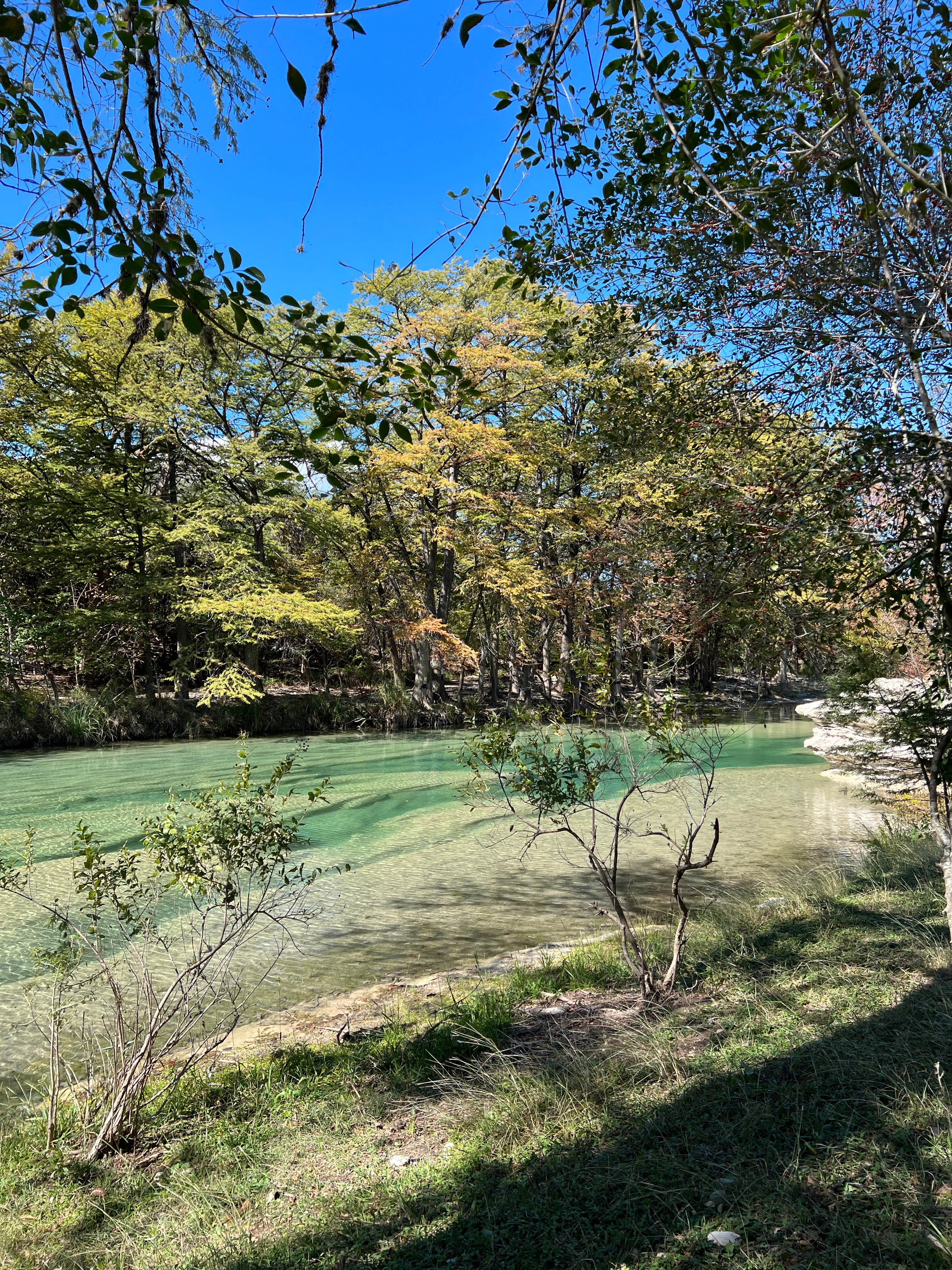 Camper-submitted photo at Camp Cold Springs near Concan, TX
