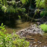 Review photo of Round Lake State Park Campground by Owen W., March 17, 2023