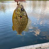 Review photo of Round Lake State Park Campground by Owen W., March 17, 2023