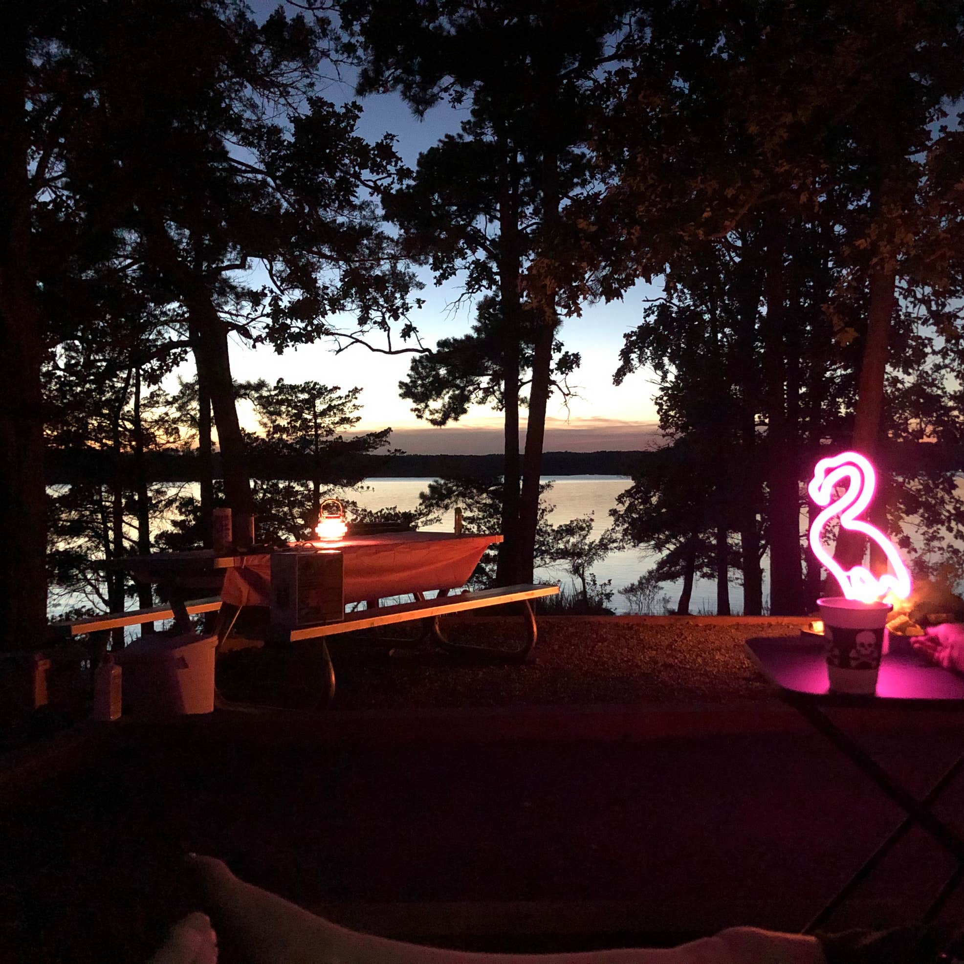 COE Lake Ouachita Joplin Campground Mt. ida, AR