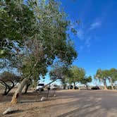 Review photo of BLM Oxbow Campground by Dorothea M., March 18, 2023