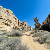 Review photo of Hidden Valley Campground — Joshua Tree National Park by Dorothea M., March 18, 2023