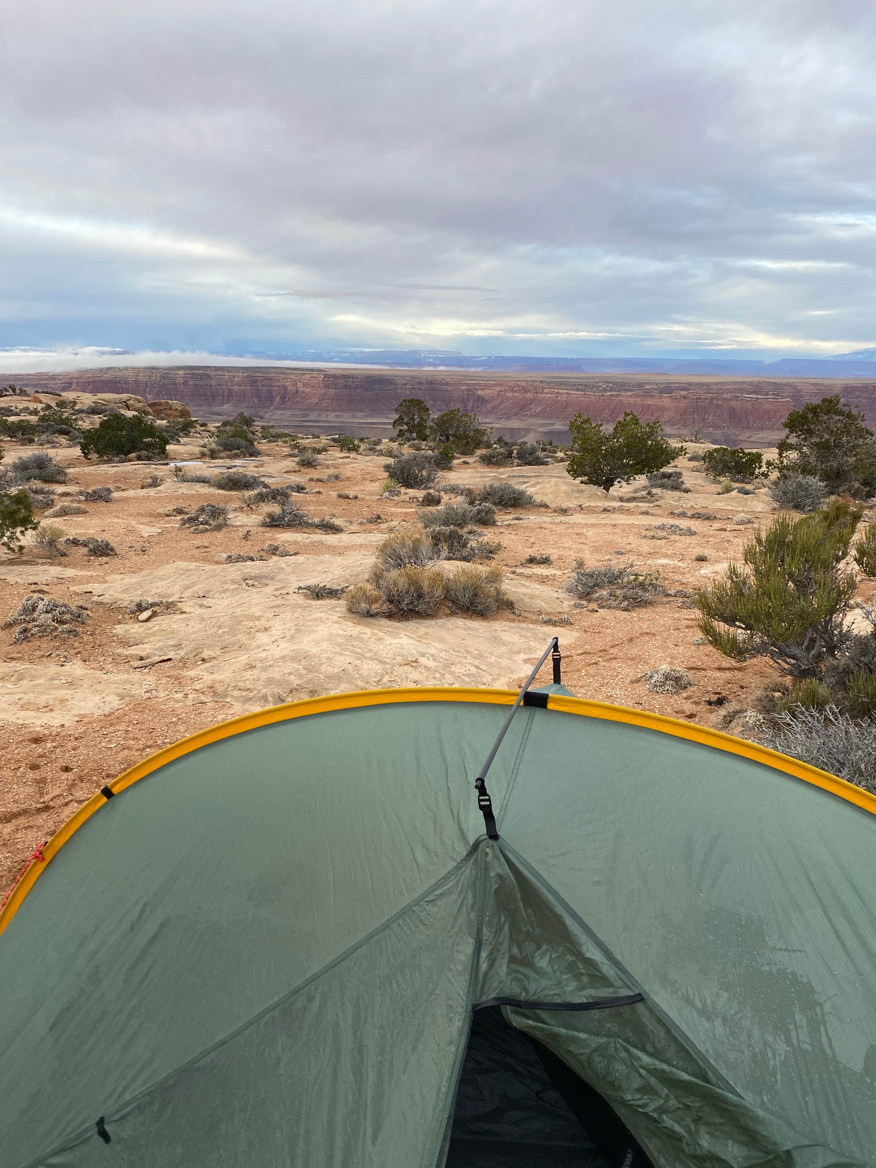 Helen H.'s photo at Muley Point — Glen Canyon National Recreation Area near Mexican Hat, UT