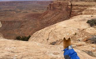 Helen H.'s photo of camping with pets at Muley Point — Glen Canyon National Recreation Area near Monument Valley, AZ