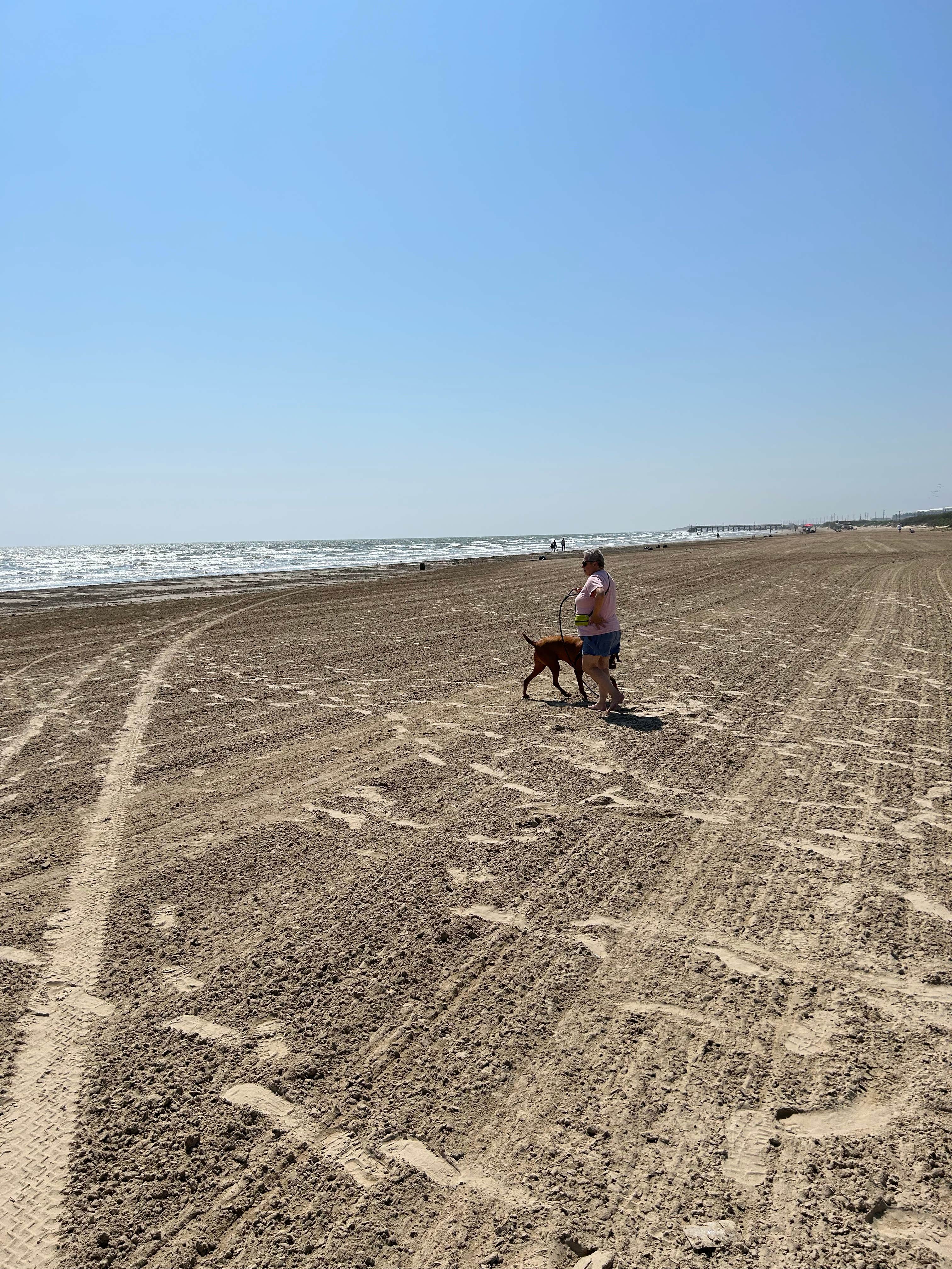 don D.'s photo of camping with pets at Quintana Beach County Park near Matagorda, TX
