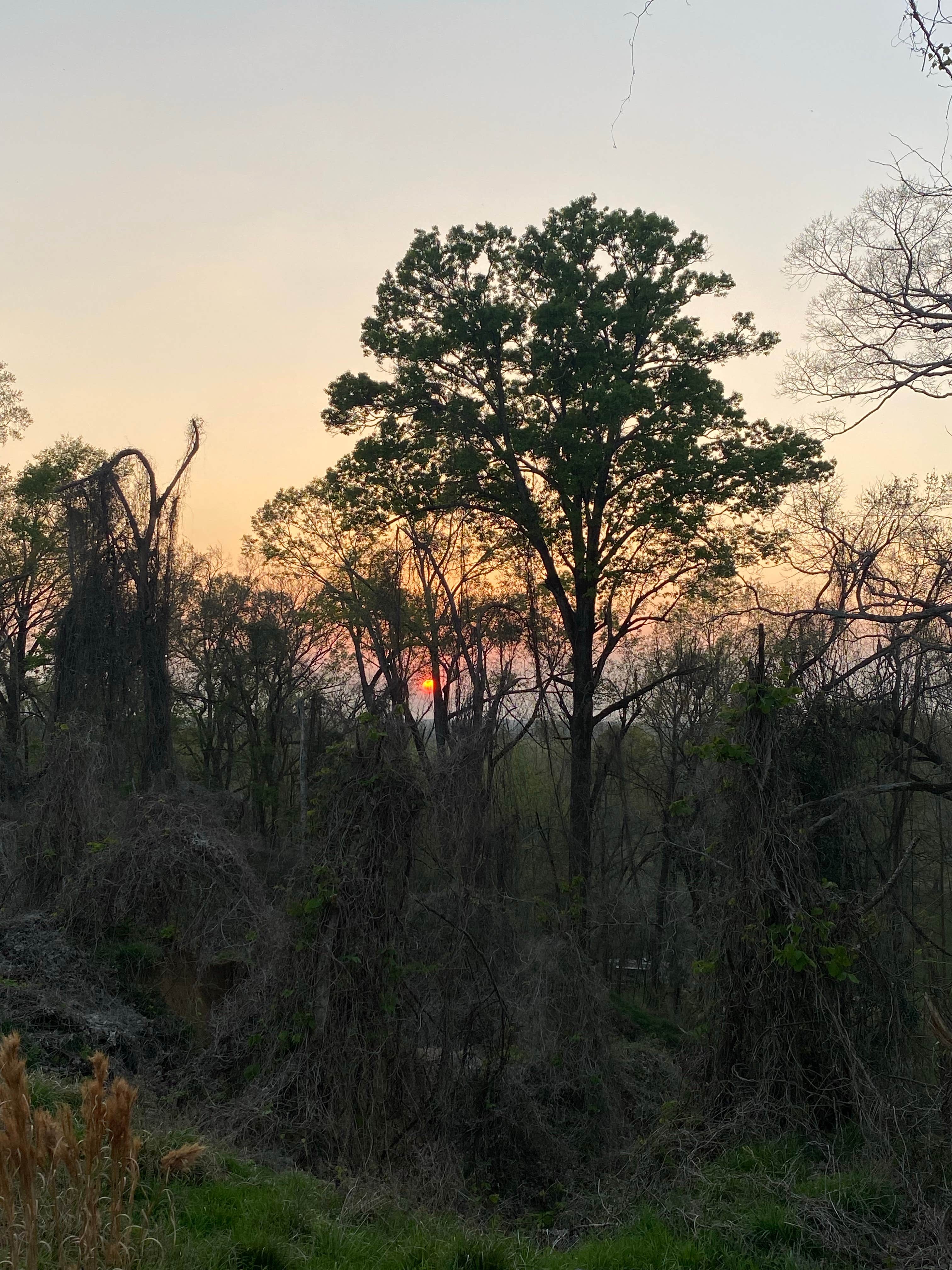 Camper-submitted photo at Grand Gulf Military Park near Natchez, MS