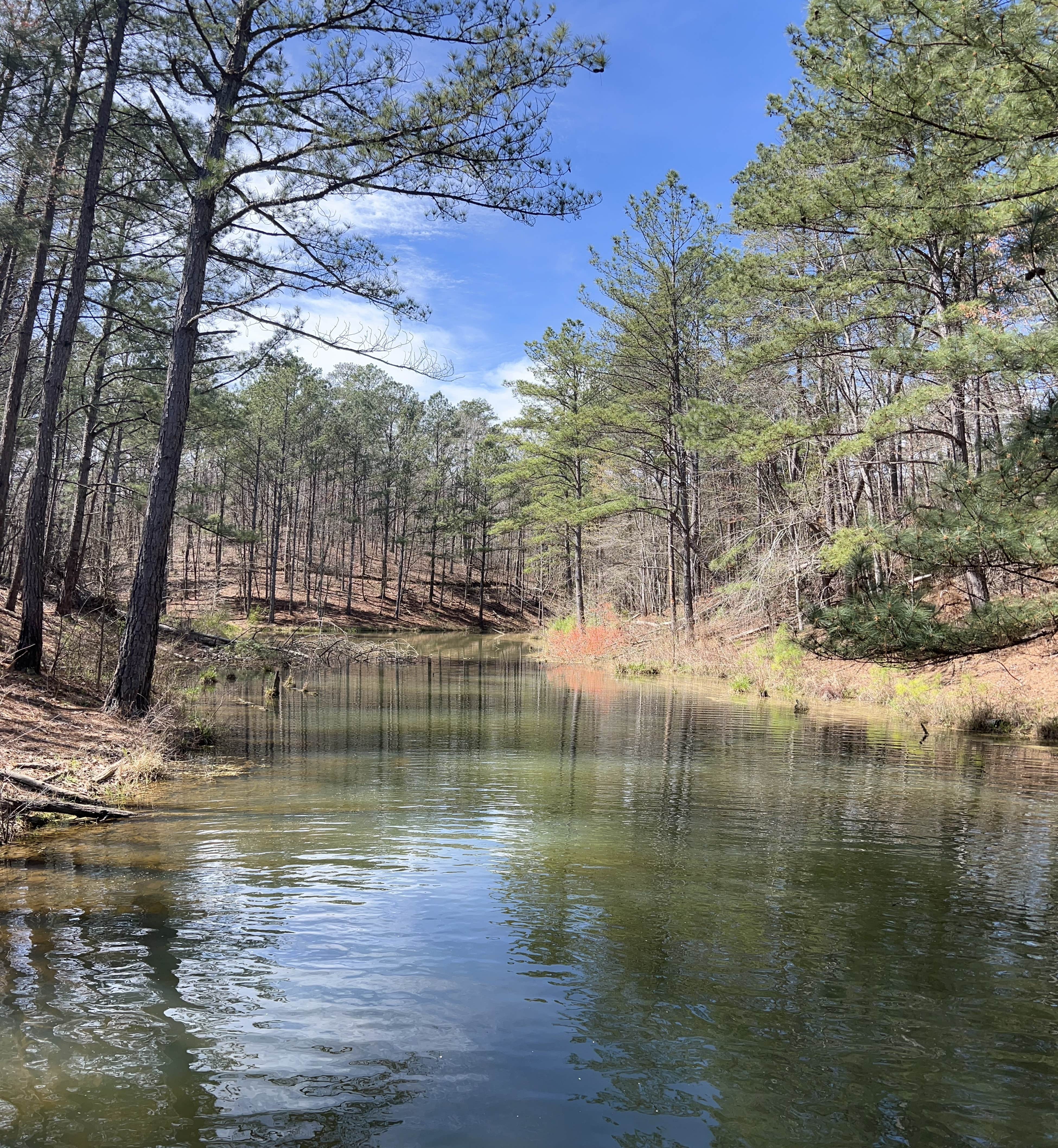Camper-submitted photo at Chilton County Minooka Park near West Blocton, AL