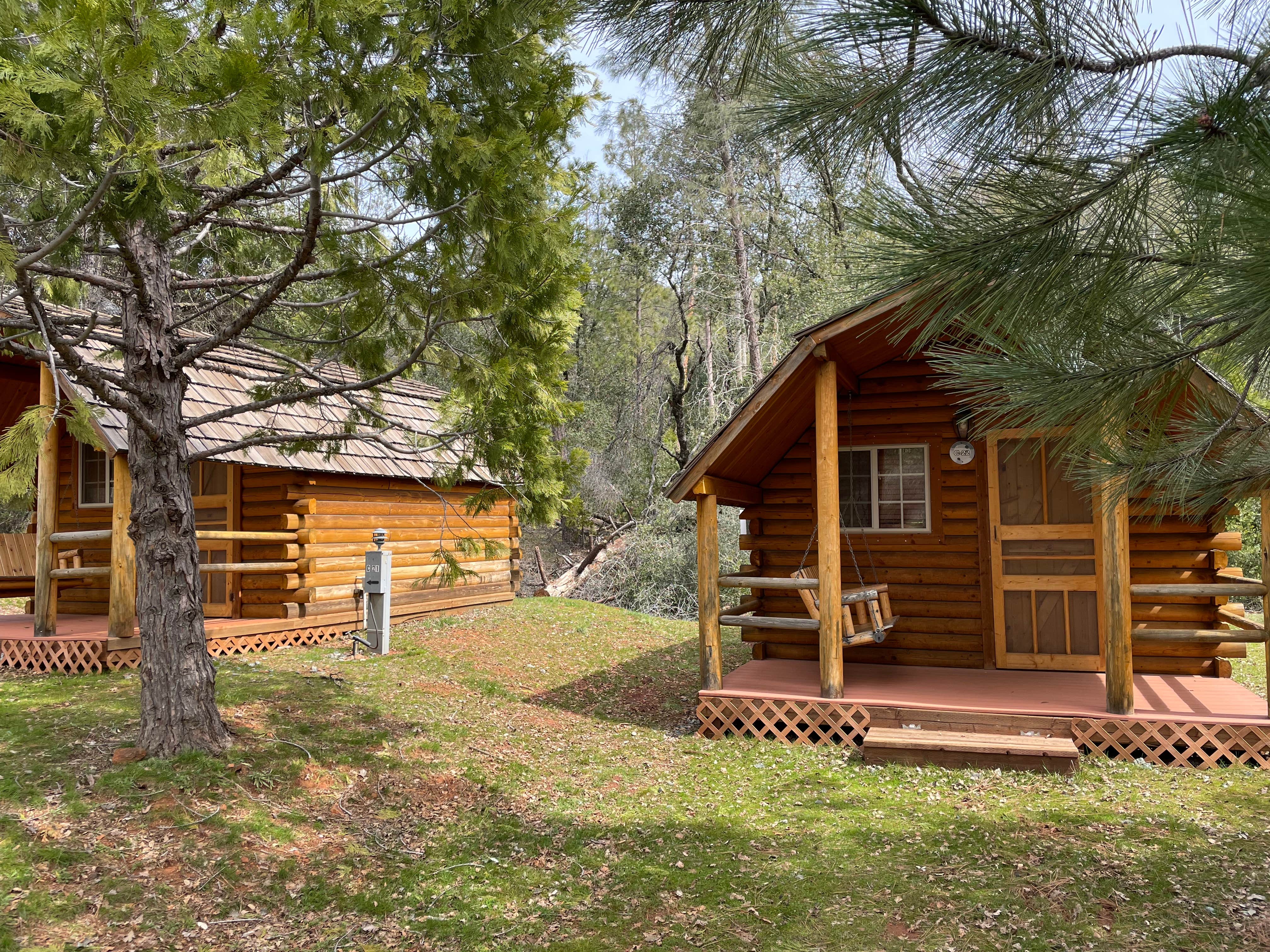 Brett C.'s photo of a cabin at Yosemite Pines RV Resort & Family Lodging near Wawona, CA