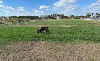 Tim H.'s photo of camping with pets at Bradenton / Hunsader Farms KOA near Nokomis, FL