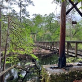 Review photo of O'leno State Park Campground by Kiva R., March 18, 2023