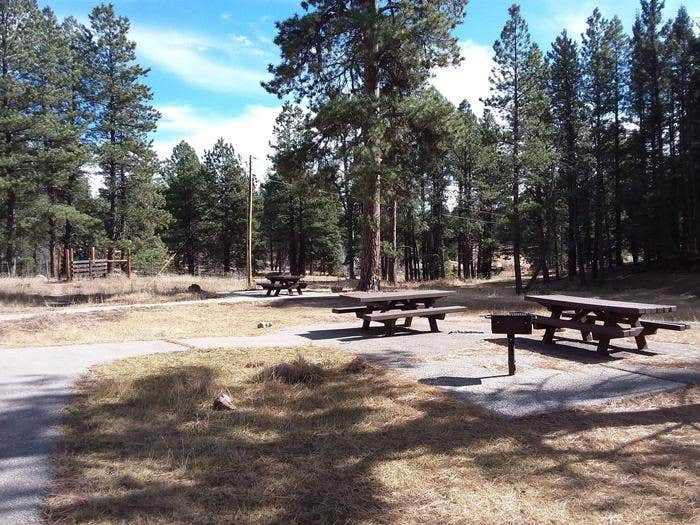 Camper submitted image from Clear Creek Campground (Nm) — Santa Fe National Forest - 5