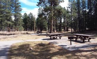 Ken M.'s photo of camping with pets at Clear Creek Campground (Nm) — Santa Fe National Forest near Cuba, NM