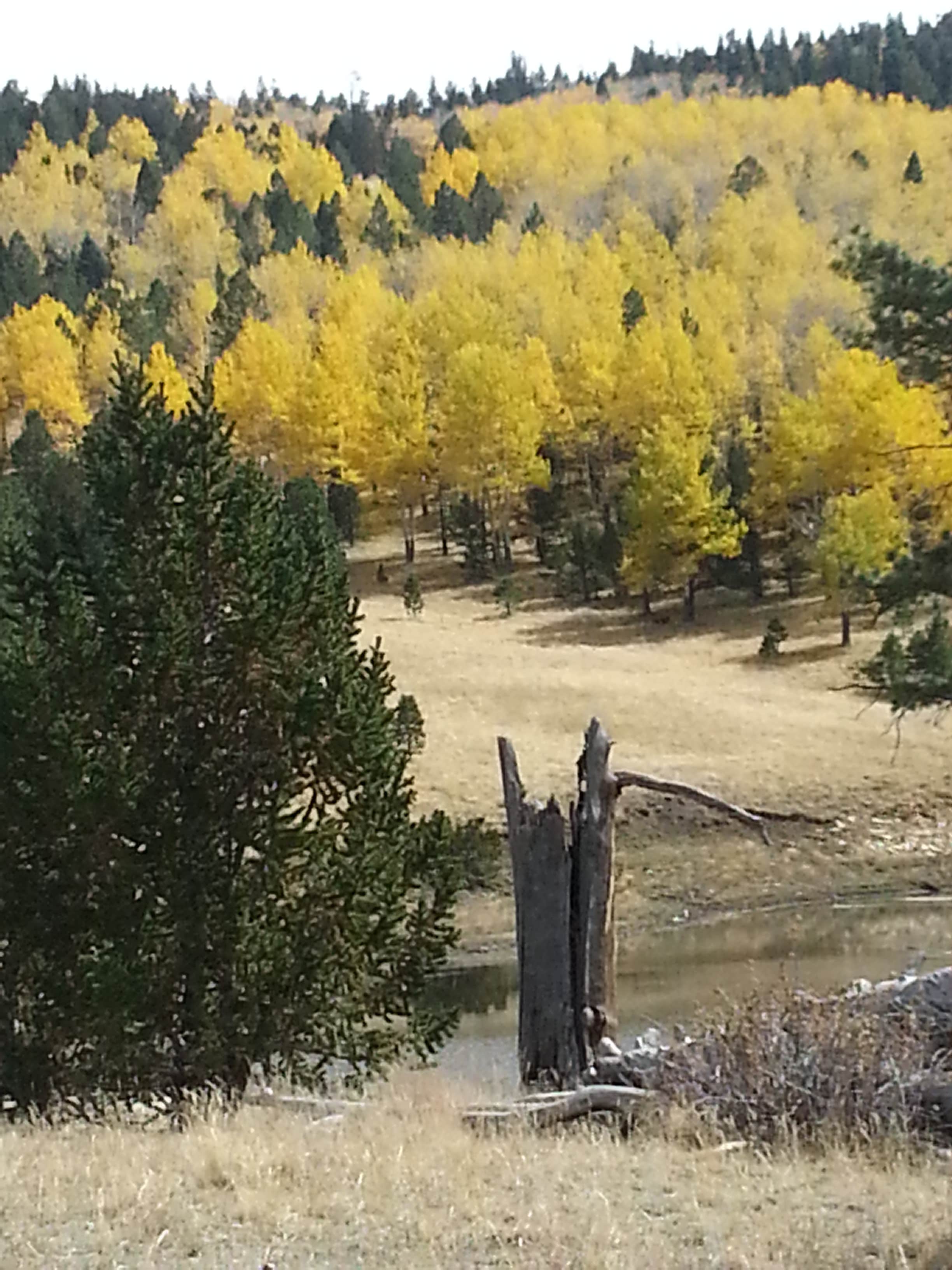 Camper-submitted photo at Mccrystal Campground near Trinidad, CO