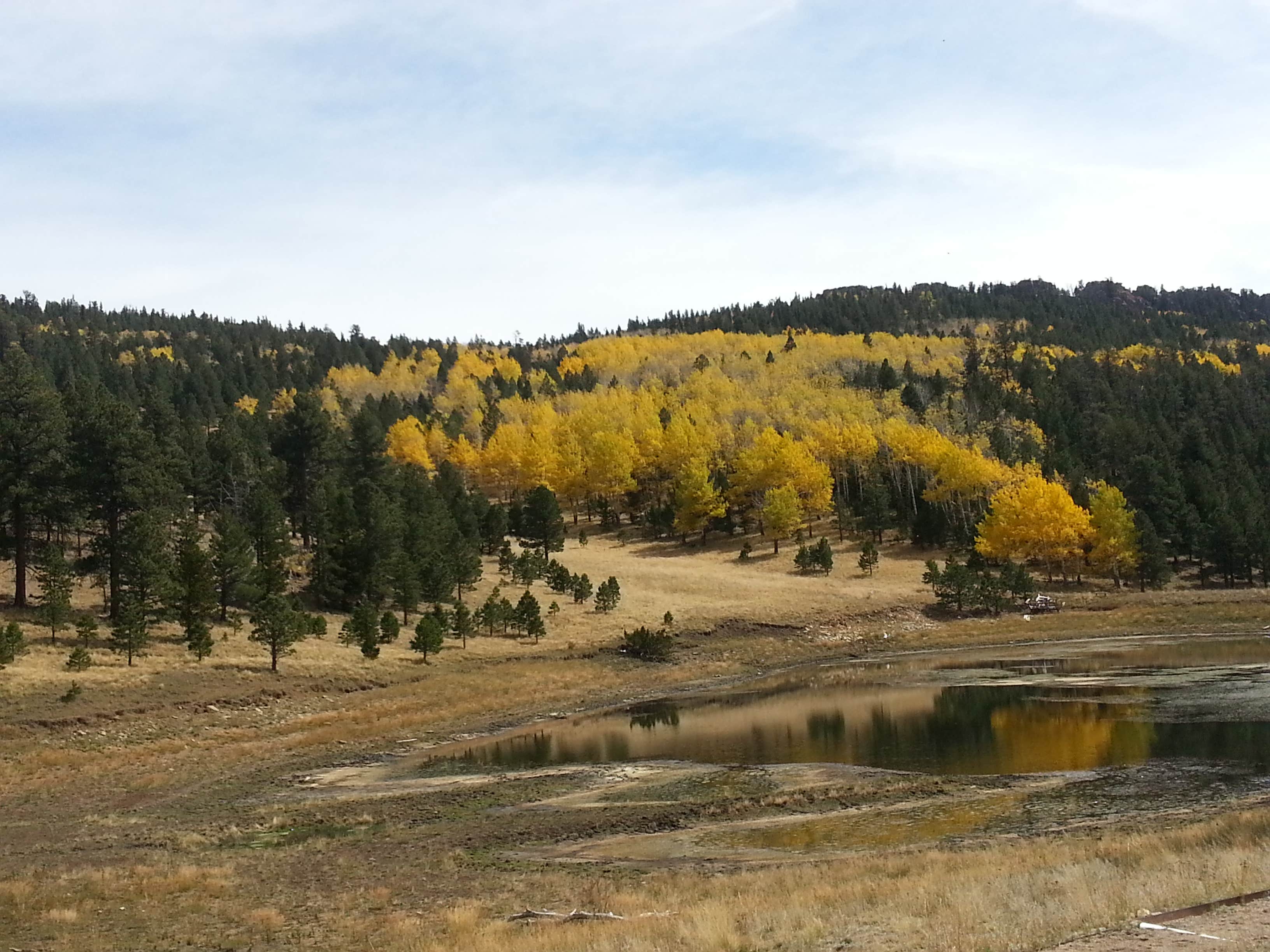 Camper-submitted photo at Mccrystal Campground near Trinidad, CO